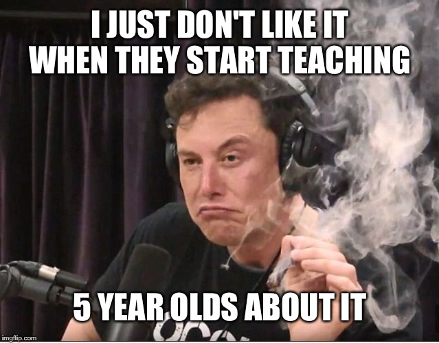 Elon Musk smoking a joint | I JUST DON'T LIKE IT WHEN THEY START TEACHING 5 YEAR OLDS ABOUT IT | image tagged in elon musk smoking a joint | made w/ Imgflip meme maker