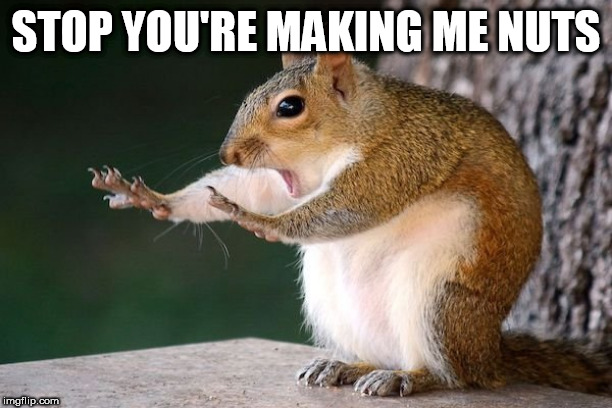 stop | STOP YOU'RE MAKING ME NUTS | image tagged in stop | made w/ Imgflip meme maker