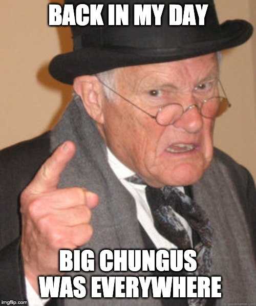 Back In My Day | BACK IN MY DAY; BIG CHUNGUS WAS EVERYWHERE | image tagged in memes,back in my day | made w/ Imgflip meme maker