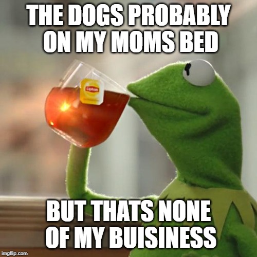 But That's None Of My Business | THE DOGS PROBABLY ON MY MOMS BED; BUT THATS NONE OF MY BUISINESS | image tagged in memes,but thats none of my business,kermit the frog | made w/ Imgflip meme maker