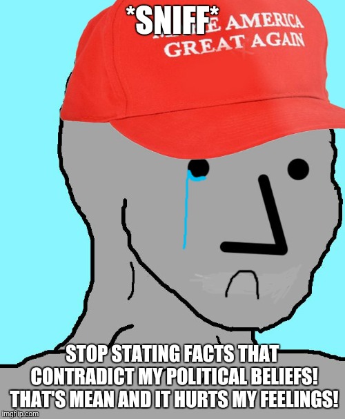 MAGA NPC | *SNIFF* STOP STATING FACTS THAT CONTRADICT MY POLITICAL BELIEFS! THAT'S MEAN AND IT HURTS MY FEELINGS! | image tagged in maga npc | made w/ Imgflip meme maker