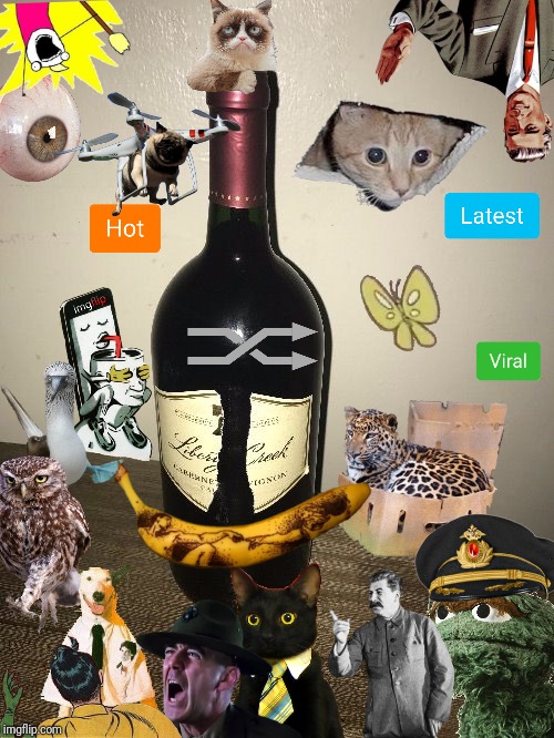 Jessica Wine | image tagged in jessica wine | made w/ Imgflip meme maker