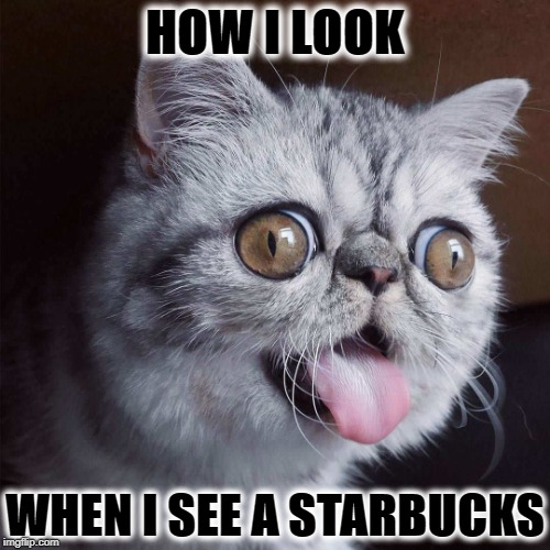 HOW I LOOK | HOW I LOOK; WHEN I SEE A STARBUCKS | image tagged in how i look | made w/ Imgflip meme maker