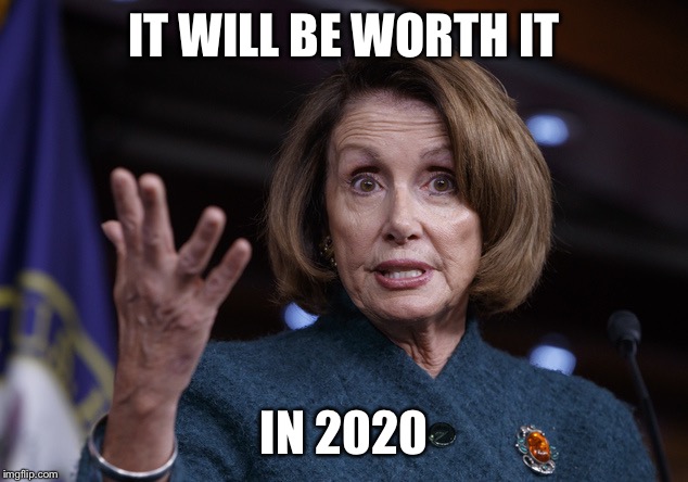 Good old Nancy Pelosi | IT WILL BE WORTH IT IN 2020 | image tagged in good old nancy pelosi | made w/ Imgflip meme maker