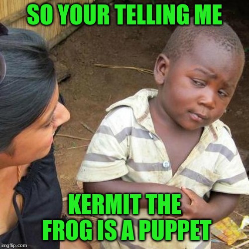 Third World Skeptical Kid Meme | SO YOUR TELLING ME; KERMIT THE FROG IS A PUPPET | image tagged in memes,third world skeptical kid | made w/ Imgflip meme maker