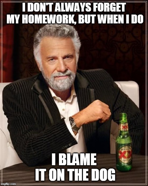 The Most Interesting Man In The World | I DON'T ALWAYS FORGET MY HOMEWORK, BUT WHEN I DO; I BLAME IT ON THE DOG | image tagged in memes,the most interesting man in the world | made w/ Imgflip meme maker