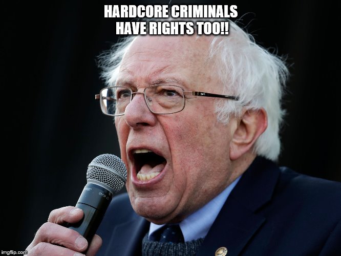 HARDCORE CRIMINALS HAVE RIGHTS TOO!! | image tagged in fun | made w/ Imgflip meme maker