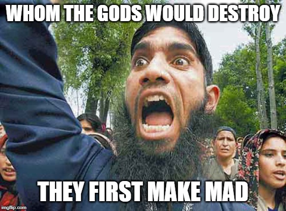 Crazed Muslim | WHOM THE GODS WOULD DESTROY; THEY FIRST MAKE MAD | image tagged in crazed muslim | made w/ Imgflip meme maker