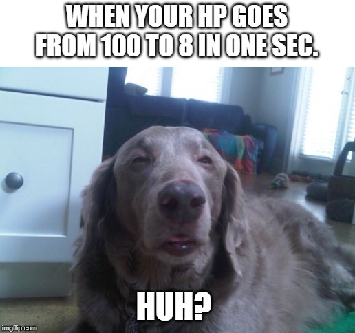 High Dog | WHEN YOUR HP GOES FROM 100 TO 8 IN ONE SEC. HUH? | image tagged in memes,high dog | made w/ Imgflip meme maker