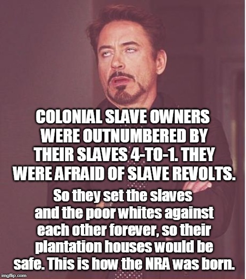 Face You Make Robert Downey Jr Meme | COLONIAL SLAVE OWNERS WERE OUTNUMBERED BY THEIR SLAVES 4-TO-1. THEY WERE AFRAID OF SLAVE REVOLTS. So they set the slaves and the poor whites | image tagged in memes,face you make robert downey jr | made w/ Imgflip meme maker