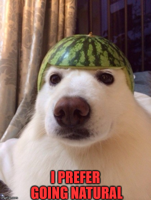 dog helmet | I PREFER GOING NATURAL | image tagged in dog helmet | made w/ Imgflip meme maker