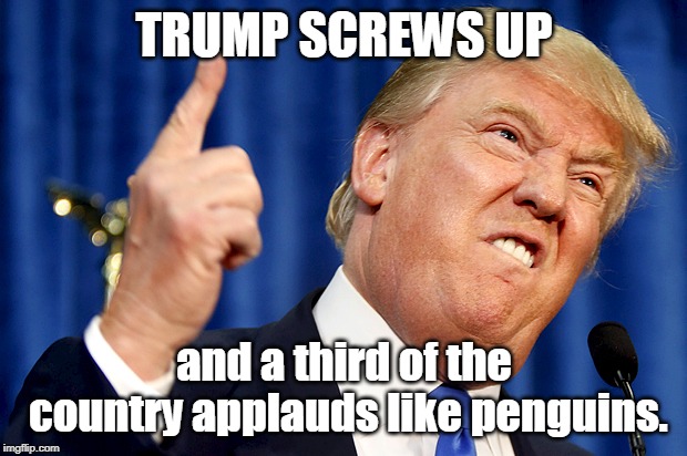 Donald Trump | TRUMP SCREWS UP and a third of the country applauds like penguins. | image tagged in donald trump | made w/ Imgflip meme maker
