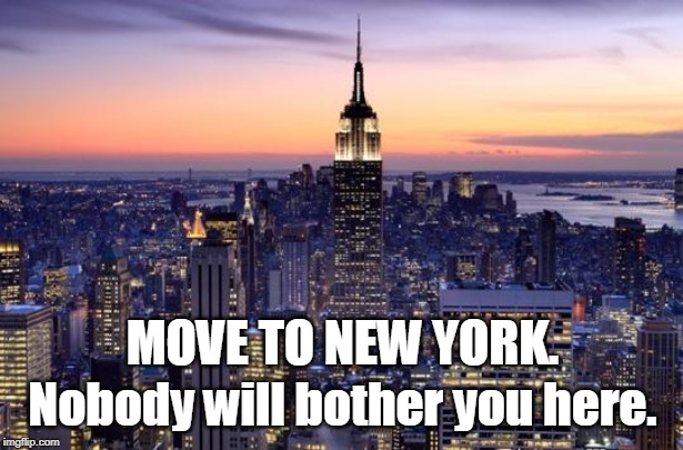 NEW YORK CITY | MOVE TO NEW YORK. Nobody will bother you here. | image tagged in new york city | made w/ Imgflip meme maker