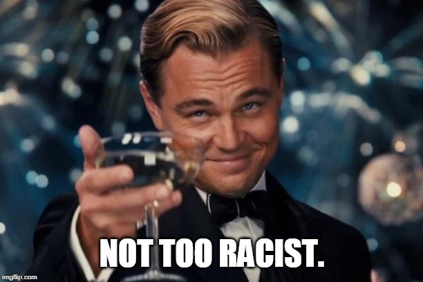 Leonardo Dicaprio Cheers Meme | NOT TOO RACIST. | image tagged in memes,leonardo dicaprio cheers | made w/ Imgflip meme maker