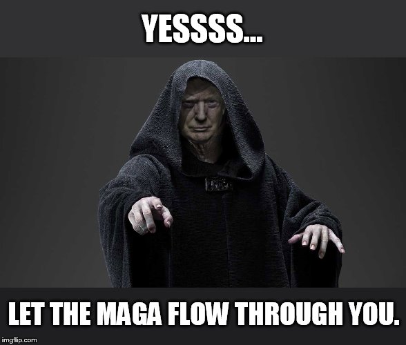 you do not know the power of the maga side | YESSSS... LET THE MAGA FLOW THROUGH YOU. | image tagged in sith lord trump | made w/ Imgflip meme maker