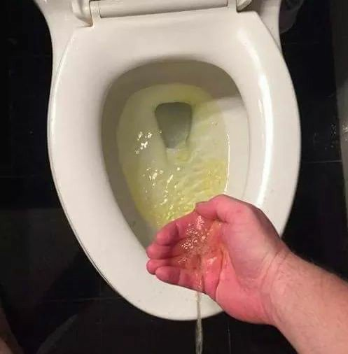 High Quality Peeing in hand Blank Meme Template