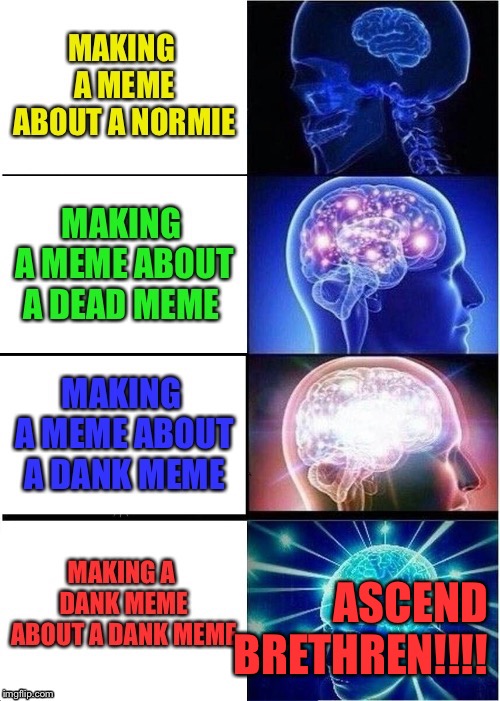 I did make this but it wouldn't allow me to post it so I copied and pasted it and added new words onto it | ASCEND BRETHREN!!!! | image tagged in memes | made w/ Imgflip meme maker