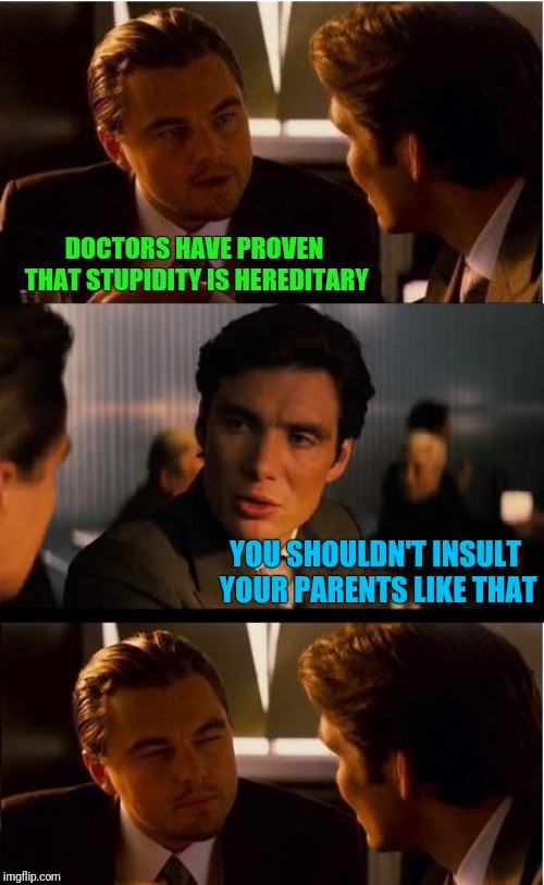 Inception Meme | DOCTORS HAVE PROVEN THAT STUPIDITY IS HEREDITARY; YOU SHOULDN'T INSULT YOUR PARENTS LIKE THAT | image tagged in memes,inception | made w/ Imgflip meme maker