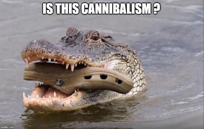 CROC | IS THIS CANNIBALISM ? | image tagged in eating | made w/ Imgflip meme maker