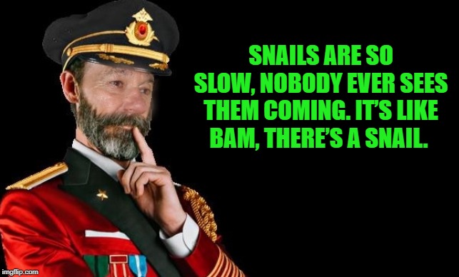 snail pun | SNAILS ARE SO SLOW, NOBODY EVER SEES THEM COMING. IT’S LIKE BAM, THERE’S A SNAIL. | image tagged in kewlew as captain obvious,puns | made w/ Imgflip meme maker