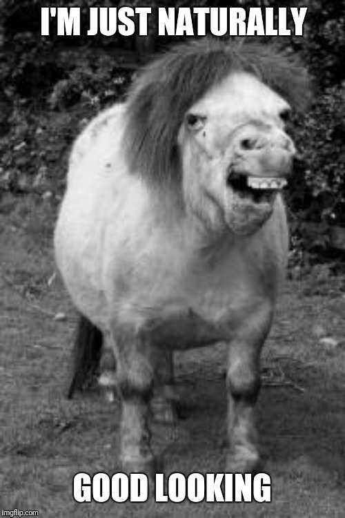 ugly horse | I'M JUST NATURALLY GOOD LOOKING | image tagged in ugly horse | made w/ Imgflip meme maker