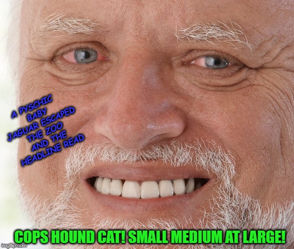Hide the Pain Harold | A PYSCHIC BABY JAGUAR ESCAPED THE ZOO AND THE HEADLINE READ; COPS HOUND CAT! SMALL MEDIUM AT LARGE! | image tagged in hide the pain harold | made w/ Imgflip meme maker