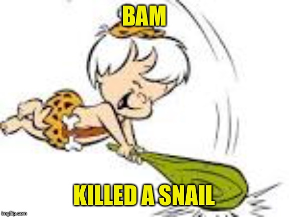 Bam Bam | BAM KILLED A SNAIL | image tagged in bam bam | made w/ Imgflip meme maker
