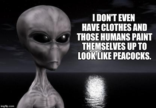 Humans are clueless | I DON'T EVEN HAVE CLOTHES AND THOSE HUMANS PAINT THEMSELVES UP TO LOOK LIKE PEACOCKS. | image tagged in why aliens won't talk to us,humans are clueless,rid earth of humans,aliens revolt,free earth | made w/ Imgflip meme maker