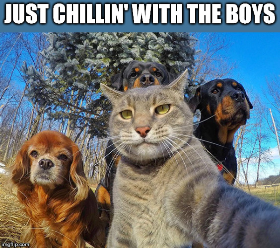 JUST CHILLIN' WITH THE BOYS | made w/ Imgflip meme maker