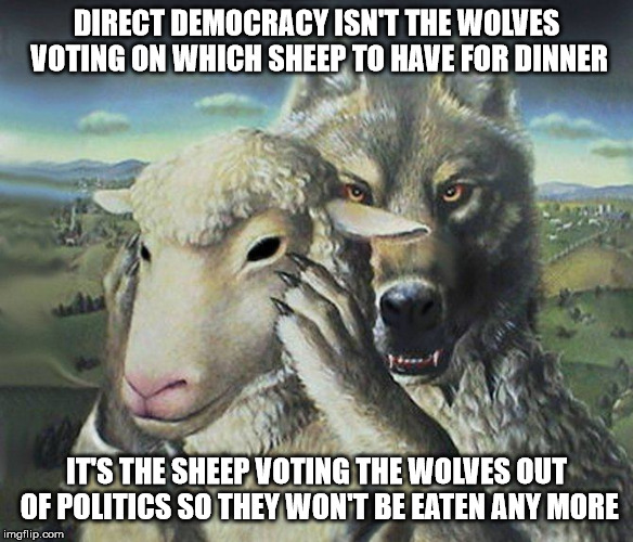 Big Money is the Wolf behind the Mask | DIRECT DEMOCRACY ISN'T THE WOLVES VOTING ON WHICH SHEEP TO HAVE FOR DINNER IT'S THE SHEEP VOTING THE WOLVES OUT OF POLITICS SO THEY WON'T BE | image tagged in wolf,sheep's clothing,sheep,direct democracy,large monetary interests,separation of money and state | made w/ Imgflip meme maker
