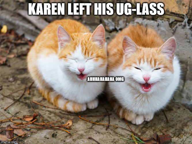 KAREN LEFT HIS UG-LASS; AHHHAHAHAHA OMG | image tagged in funny cats,cats,funny cat memes,cat memes | made w/ Imgflip meme maker