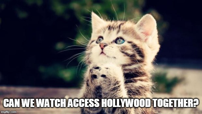 Cute kitten | CAN WE WATCH ACCESS HOLLYWOOD TOGETHER? | image tagged in cute kitten | made w/ Imgflip meme maker