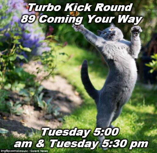 Cat with Butterfly | Turbo Kick Round 89 Coming Your Way; Tuesday 5:00 am & Tuesday 5:30 pm | image tagged in cat with butterfly | made w/ Imgflip meme maker