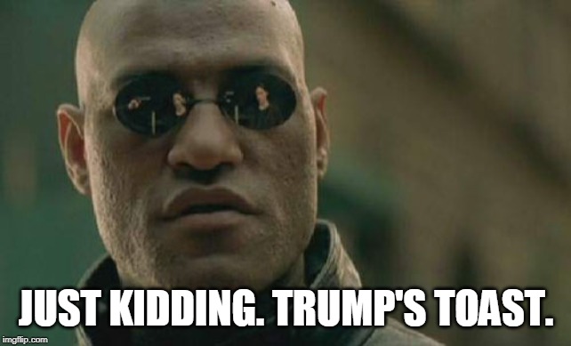 Matrix Morpheus Meme | JUST KIDDING. TRUMP'S TOAST. | image tagged in memes,matrix morpheus | made w/ Imgflip meme maker