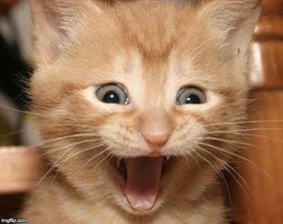 Excited Cat Meme | . | image tagged in memes,excited cat | made w/ Imgflip meme maker