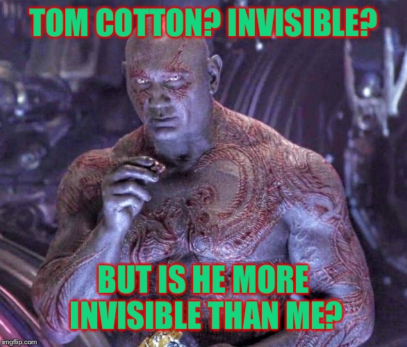 Invisible Drax | TOM COTTON? INVISIBLE? BUT IS HE MORE INVISIBLE THAN ME? | image tagged in invisible drax,tom cotton,tom cotton invisible,invisible | made w/ Imgflip meme maker