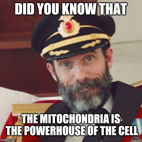 Captain Obvious | DID YOU KNOW THAT; THE MITOCHONDRIA IS THE POWERHOUSE OF THE CELL | image tagged in captain obvious | made w/ Imgflip meme maker