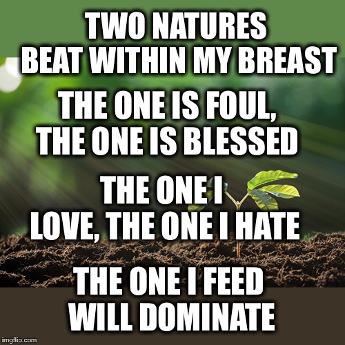 Credit to Tara Lee Cobble | TWO NATURES BEAT WITHIN MY BREAST; THE ONE IS FOUL, THE ONE IS BLESSED; THE ONE I LOVE, THE ONE I HATE; THE ONE I FEED WILL DOMINATE | image tagged in good words,to live by,become a better person | made w/ Imgflip meme maker
