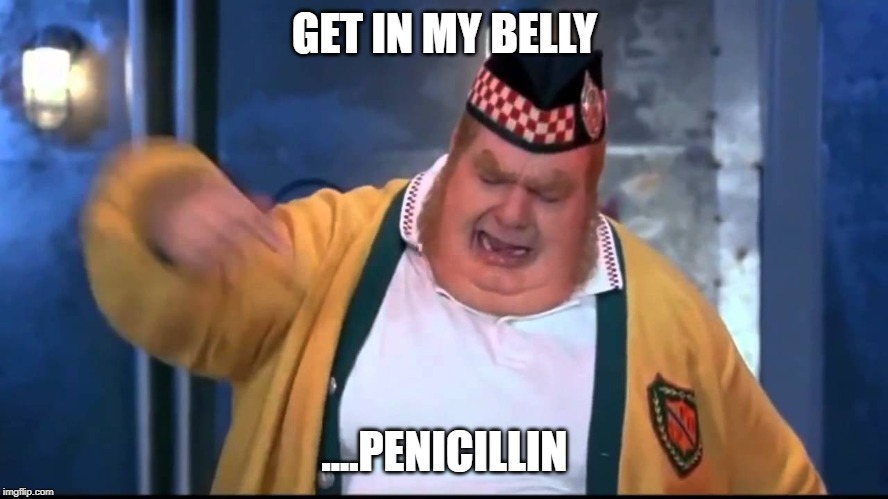Get In My Belly |  GET IN MY BELLY; ....PENICILLIN | image tagged in get in my belly | made w/ Imgflip meme maker