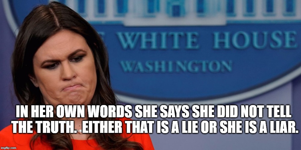 sarah sanders | IN HER OWN WORDS SHE SAYS SHE DID NOT TELL THE TRUTH.  EITHER THAT IS A LIE OR SHE IS A LIAR. | image tagged in sarah sanders | made w/ Imgflip meme maker