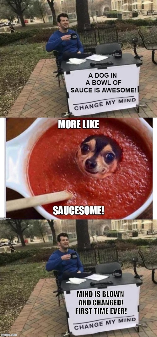 Mind changed for first time ever? | A DOG IN A BOWL OF SAUCE IS AWESOME! MIND IS BLOWN AND CHANGED! FIRST TIME EVER! | image tagged in memes,change my mind,dogs,cooking,funny memes | made w/ Imgflip meme maker