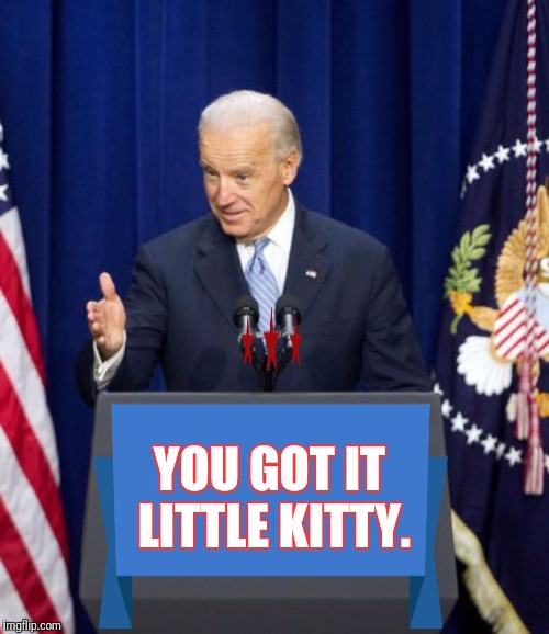 YOU GOT IT LITTLE KITTY. | made w/ Imgflip meme maker