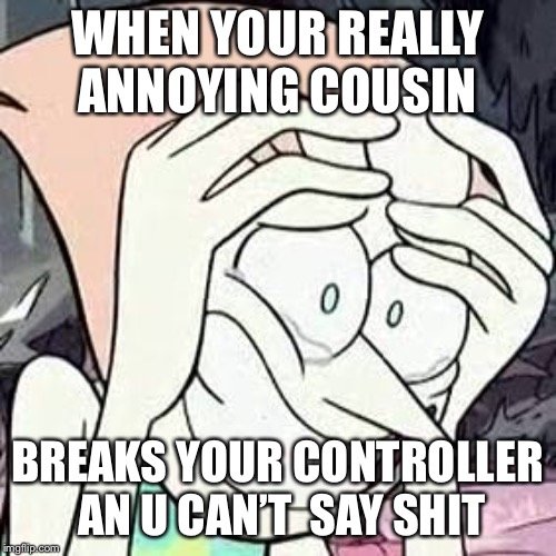 Steven universe | WHEN YOUR REALLY ANNOYING COUSIN; BREAKS YOUR CONTROLLER AN U CAN’T  SAY SHIT | image tagged in steven universe | made w/ Imgflip meme maker