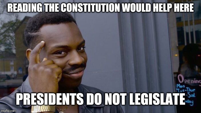 Roll Safe Think About It Meme | READING THE CONSTITUTION WOULD HELP HERE PRESIDENTS DO NOT LEGISLATE | image tagged in memes,roll safe think about it | made w/ Imgflip meme maker