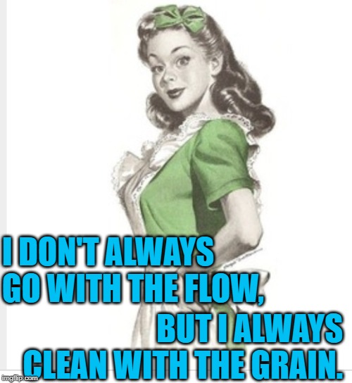 Sassy Housewife Cleaning Logic | I DON'T ALWAYS GO WITH THE FLOW, BUT I ALWAYS CLEAN WITH THE GRAIN. | image tagged in 50's housewife,cleaning,housework,spring cleaning,sayings,sassy | made w/ Imgflip meme maker
