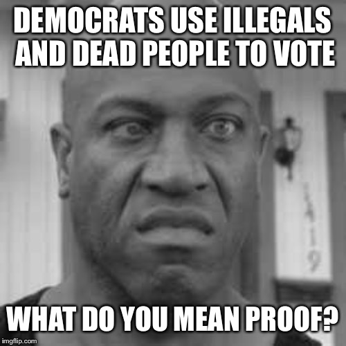 Debo | DEMOCRATS USE ILLEGALS AND DEAD PEOPLE TO VOTE WHAT DO YOU MEAN PROOF? | image tagged in debo | made w/ Imgflip meme maker