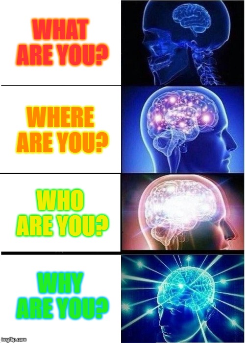 Expanding Brain Meme | WHAT ARE YOU? WHERE ARE YOU? WHO ARE YOU? WHY ARE YOU? | image tagged in memes,expanding brain | made w/ Imgflip meme maker