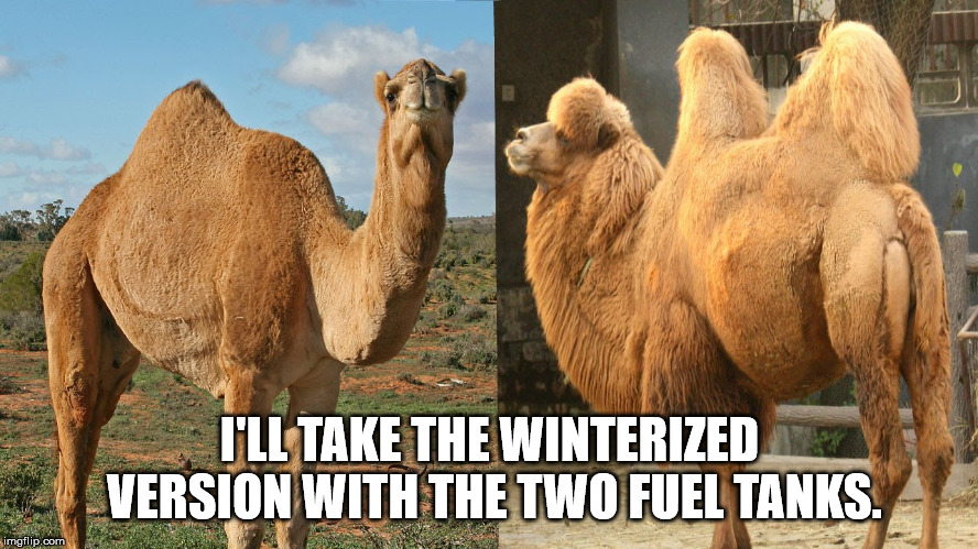  I'LL TAKE THE WINTERIZED VERSION WITH THE TWO FUEL TANKS. | image tagged in memes | made w/ Imgflip meme maker