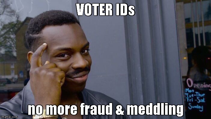 Roll Safe Think About It Meme | VOTER IDs no more fraud & meddling | image tagged in memes,roll safe think about it | made w/ Imgflip meme maker
