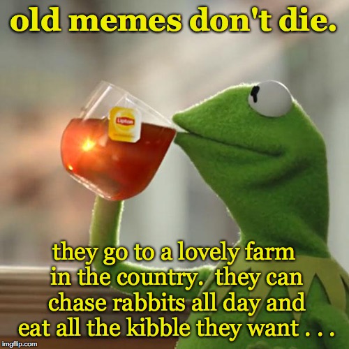 But That's None Of My Business Meme | old memes don't die. they go to a lovely farm in the country.  they can chase rabbits all day and eat all the kibble they want . . . | image tagged in memes,but thats none of my business,kermit the frog | made w/ Imgflip meme maker